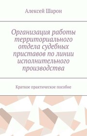 Организация работы территориального отдела судебных приставов по линии исполнительного производства. Краткое практическое пособие