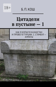 Цитадели в пустыне – 1. Как я копал в Казахстан и провел в Турции. 1. Стамбул – Алматы