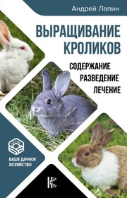 Выращивание кроликов. Как содержать, разводить, лечить – советы профессионалов. Лучшие породы