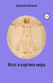 Мозг и картина мира