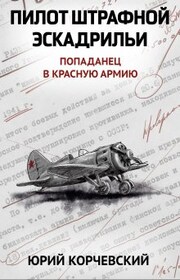 Пилот штрафной эскадрильи