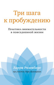 Три шага к пробуждению. Практика внимательности в повседневной жизни