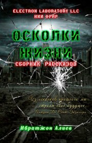 Осколки жизни. Сборник рассказов