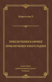 Приключения в Африке. Приключения юного раджи (сборник)