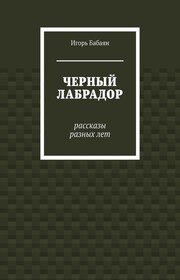 Черный лабрадор