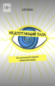 Недостающий Пазл. Из осознаний одного первопроходца