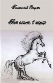 Вся жизнь в стихах