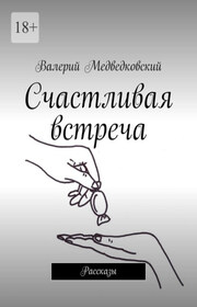 Счастливая встреча. Рассказы